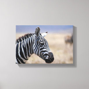 Zebra Canvas Print
