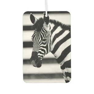 Zebra Car Air Freshener