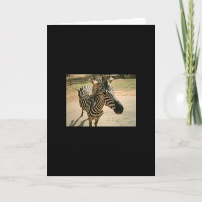 Zebra Card (Front)