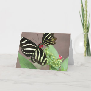 Zebra Card