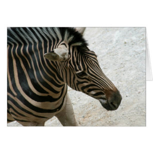Zebra Card
