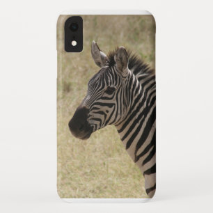 zebra iPhone XR case