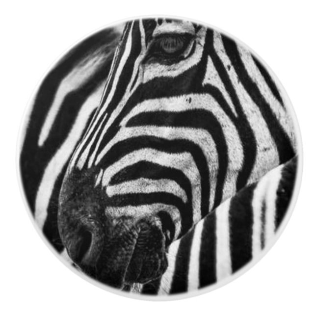 ZEBRA CERAMIC KNOB (Front)
