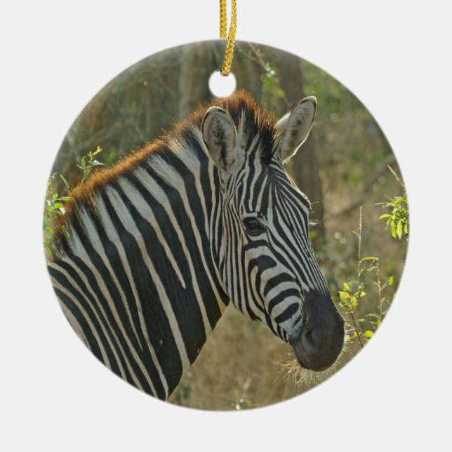 Zebra Ceramic Tree Decoration (Front)