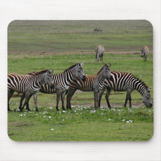 Zebra Clan Mouse Mat (Front)