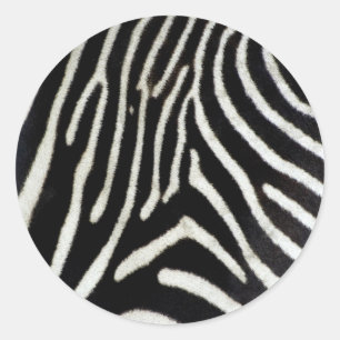Zebra Classic Round Sticker