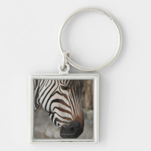 Zebra, close-up key ring