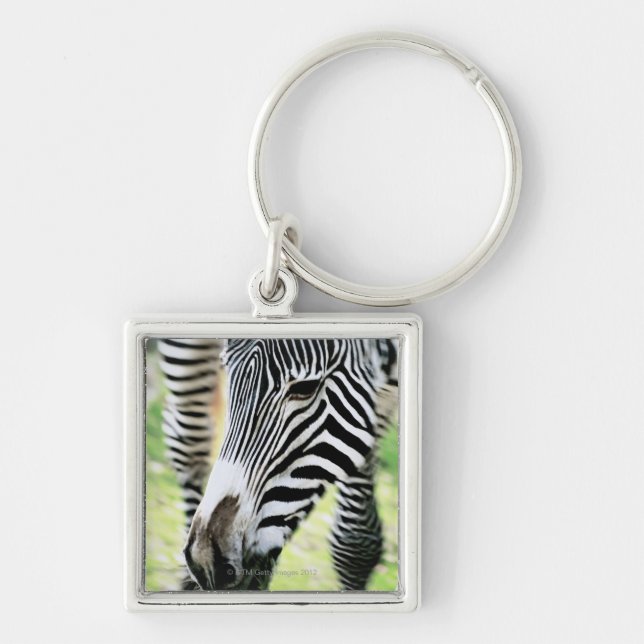 Zebra, close-up, selective focus key ring (Front)