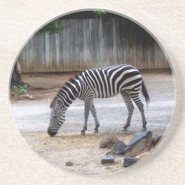 Zebra Coaster (Front)