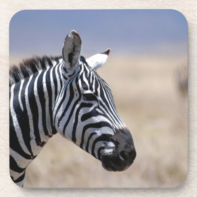 Zebra Coaster (Front)