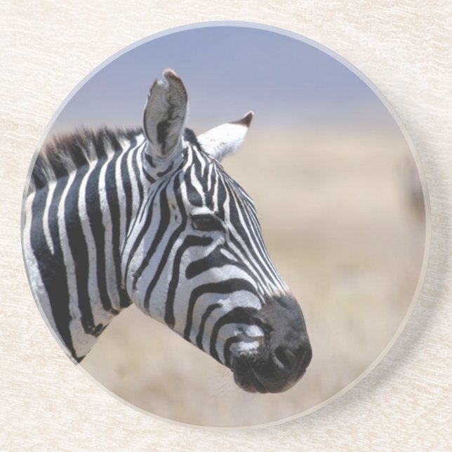 Zebra Coaster (Front)