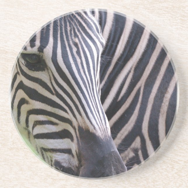 Zebra Coasters (Front)