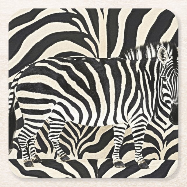 Zebra Coasters (Front)