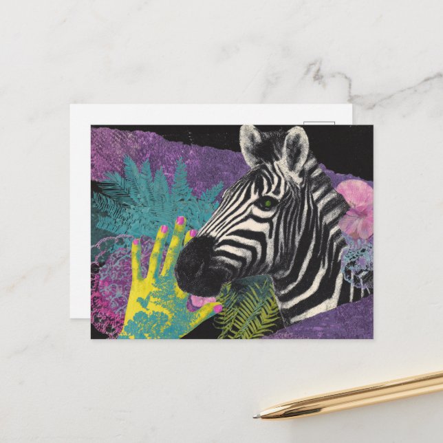 Zebra Collage Postcard (Front/Back In Situ)