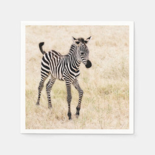 Zebra Colt Napkin