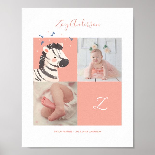 Zebra Confetti• Alphabet Monogram Cute Baby Shower Poster (Front)