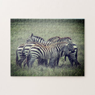 zebra dazzle jigsaw puzzle