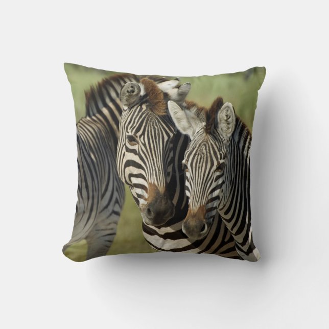 ZEBRA DOUBLE IMAGE CUSHION (Front)