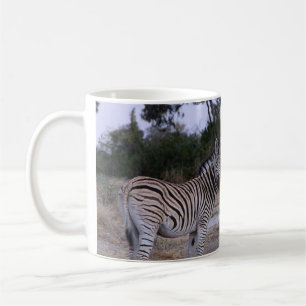 Zebra Double Take Photo Coffee Mug