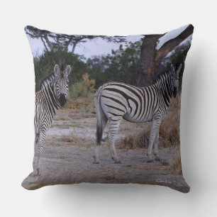 Zebra Double Take Photo Cushion