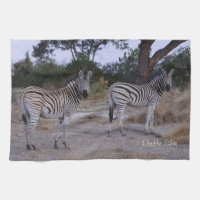 Zebra Double Take Photo