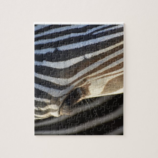 Zebra Eye Puzzle (Vertical)