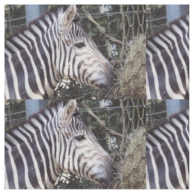 Zebra Fabric (Close Up)