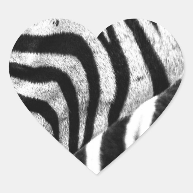 Zebra Face Heart Sticker (Front)
