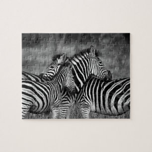 Zebra Family Jigsaw Puzzle