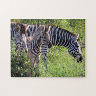 zebra family jigsaw puzzle