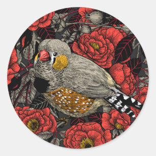 Zebra finch and red rose bush classic round sticker