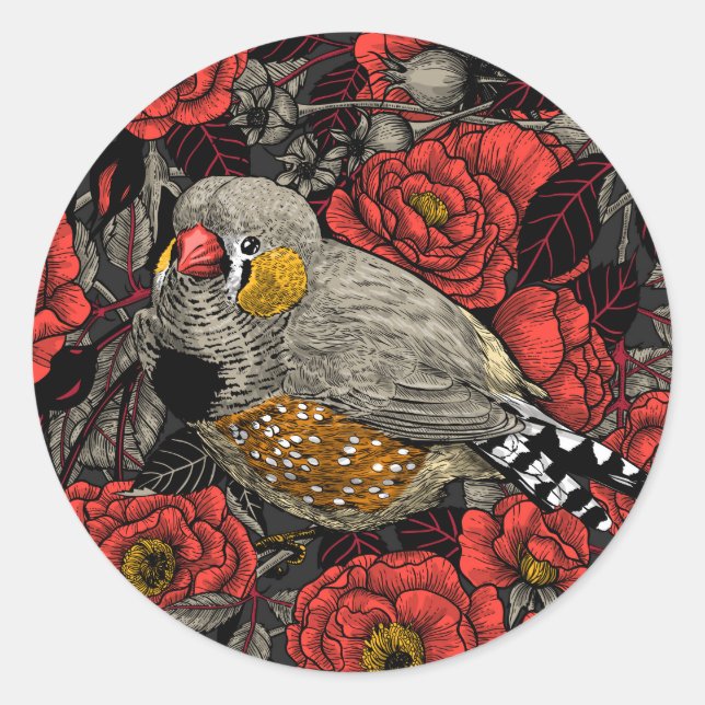 Zebra finch and red rose bush classic round sticker (Front)