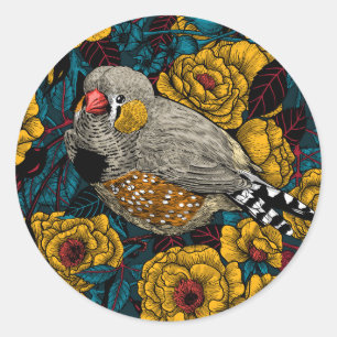 Zebra finch and rose bush classic round sticker
