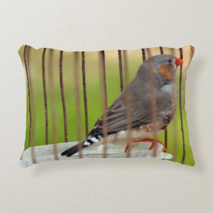 Zebra Finch Bird in Cage Decorative Cushion