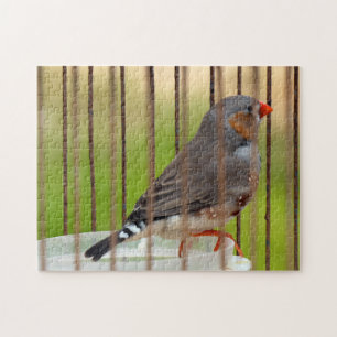 Zebra Finch Bird in Cage Jigsaw Puzzle