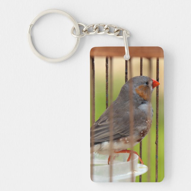Zebra Finch Bird in Cage Key Ring (Front)