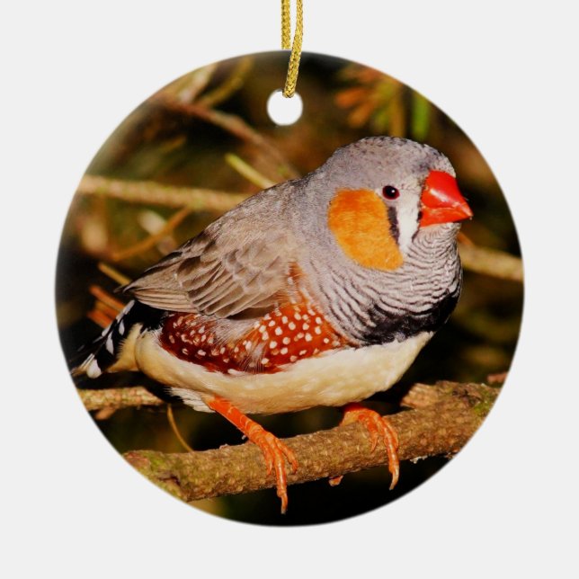 Zebra Finch Ceramic Tree Decoration (Front)