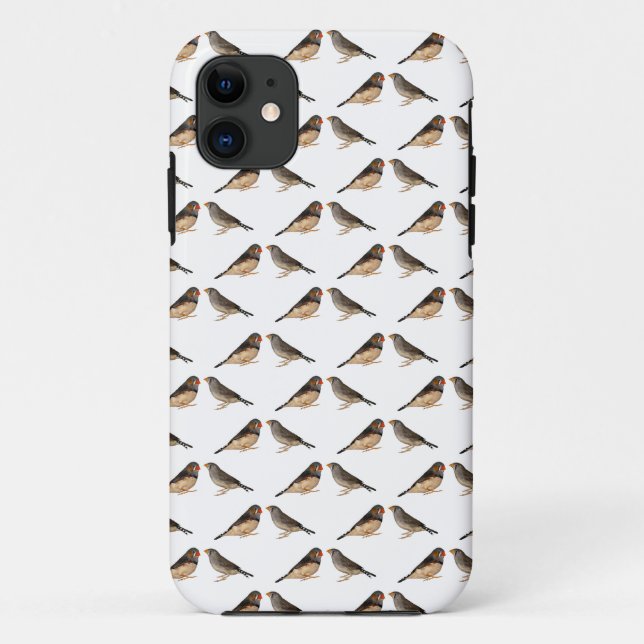 Zebra Finch Frenzy iPhone 5 Case (Choose Colour) (Back)