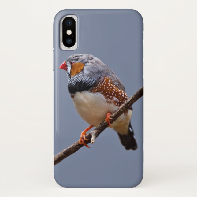 Zebra Finch iPhone X Case (Back)