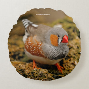 Zebra Finch on the Rocks Round Cushion