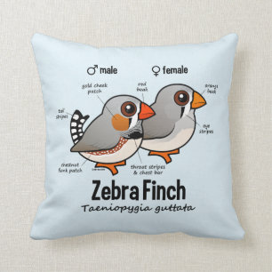 Zebra Finch Statistics Cushion
