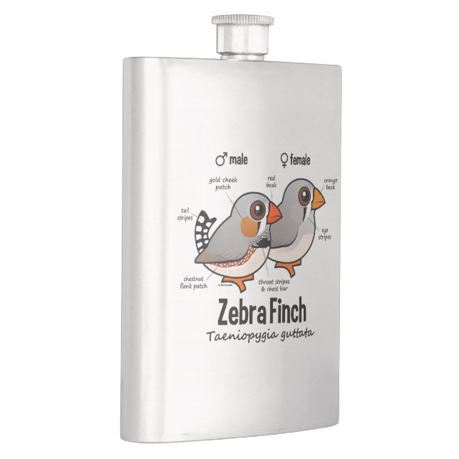 Zebra Finch Statistics Hip Flask (Right)