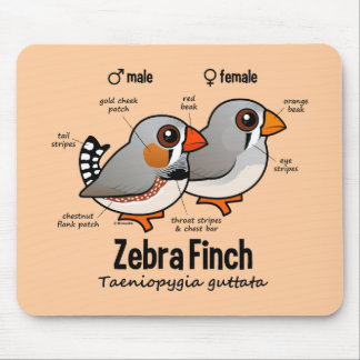 Zebra Finch Statistics Mouse Mat