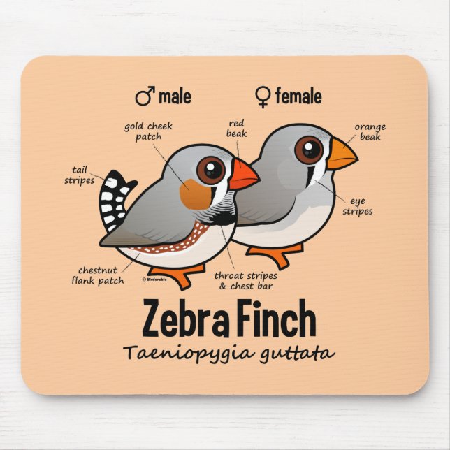 Zebra Finch Statistics Mouse Mat (Front)