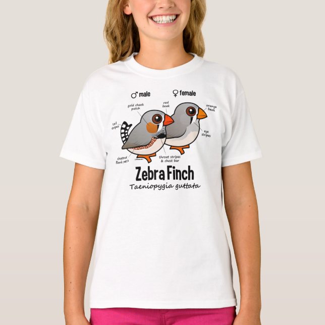 Zebra Finch Statistics T-Shirt (Front)