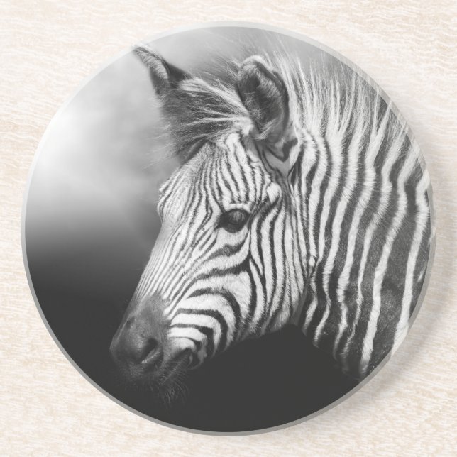 Zebra Foal Coaster (Front)