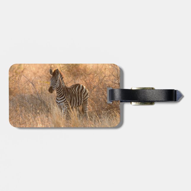 Zebra foal in morning light luggage tag (Back Horizontal)