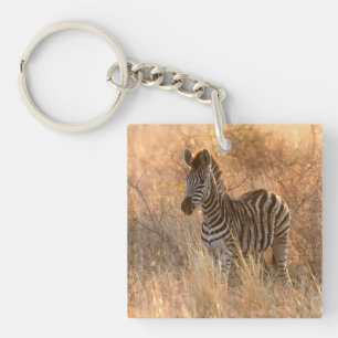Zebra foal in morning sunrise photo key ring