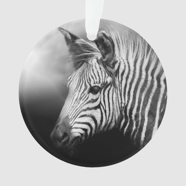 Zebra Foal Ornament (Front)