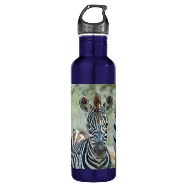 ZEBRA FOAL WATER BOTTLE (Front)